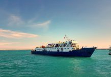 Review chuyến du lịch đảo Phú Quý 3 ngày 2 đêm bằng tàu thú vị nhất